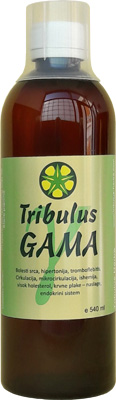 Tribulus_gama