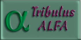 tribulus_alfa