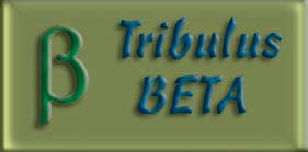 tribulus_beta