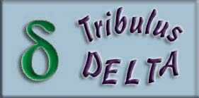 tribulus_delta