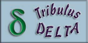 tribulus_delta